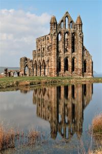 Whitby Abbey reflection