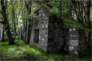 Room-With-A-View 