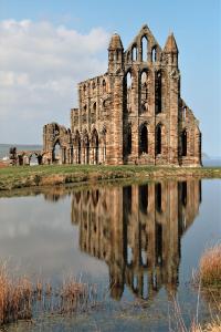 Whitby-Abbey-reflection