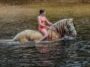 Competition-2026_06