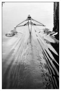 Wake