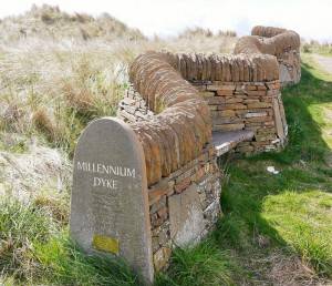 Millennium Dyke 