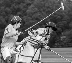Polo - sport of kings