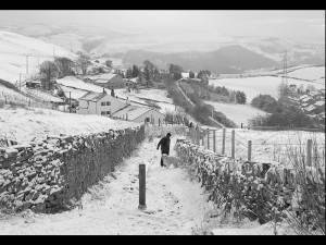Winter walk