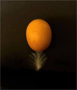 Featherweight-egg