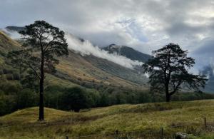 Misty-Morning
