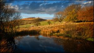 View-from-Wilders-Wood