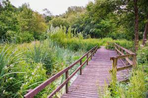 Boardwalk