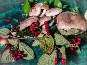 Fungi and berries