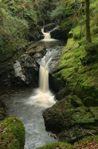 Afon Cynfal
